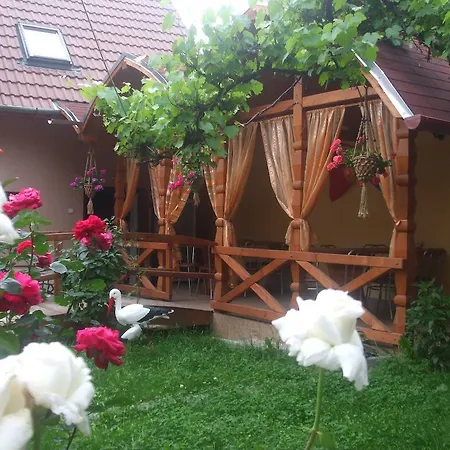 Pensjonat Hanzu Agnita